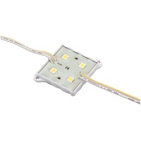   5050/4leds DC12V IP65 6000-7000K Jazzway (10)