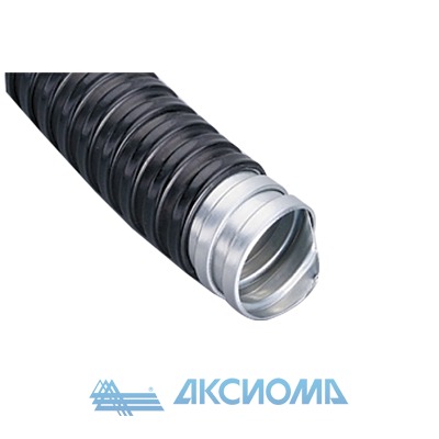    - - 10 (50.) EKF PROxima