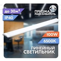  -DISON-100-1200 Prizma 8000 6500K IP40 DISON