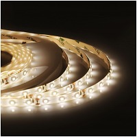   ECO-3528/ 60-IP65-12 W 5  Jazzway