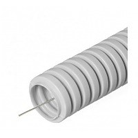    d16 /  (100 /)  ()