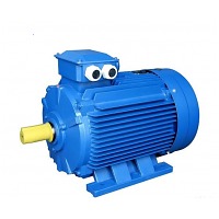 ���������������� ��H 411-6 �1 IM1003 IP55 22,0 ��� 960 ��/��� 220/380 �