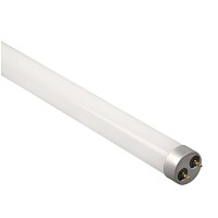 ����� ������������ �������� PLED T8-600GL 10w FROST 6500K G13 800�� ������ Jazzway